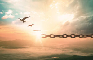 Istockphoto 935739044 612x612 1