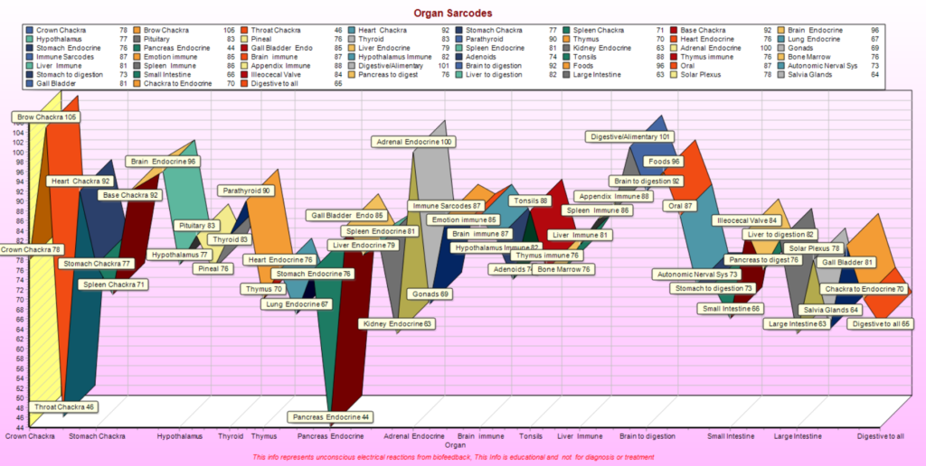 Organ Chart